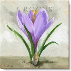 Crocus Giclee Wall Art