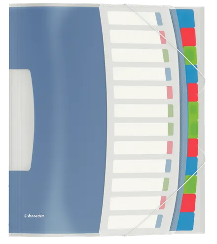 Esselte Divider Book Vivida - 12 Part